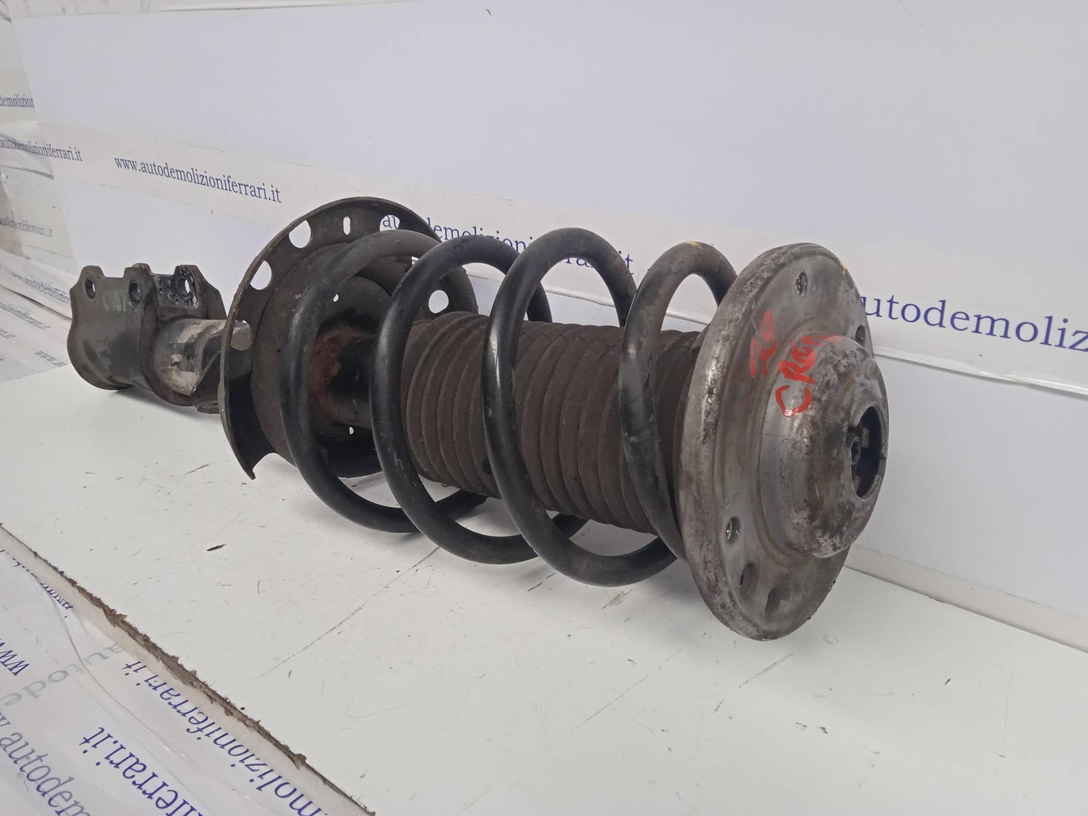 Ammortizzatore ant. sx.